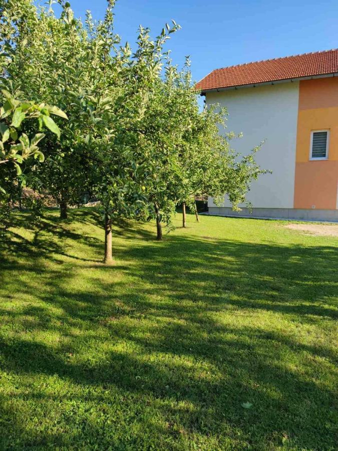 Una National Park Apartment Bihać Exterior foto